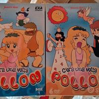 Cofanetti DVD Pollon