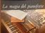 Immagine 4