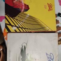 dischi vinile 33 giri Pooh