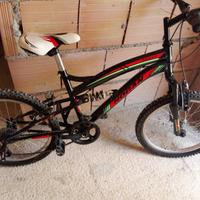 Bicicletta mod. KS20-FS Hogan