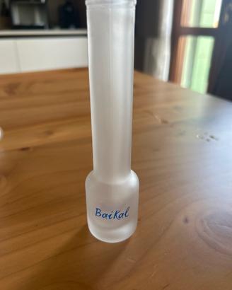 Bicchieri Baikal vodka