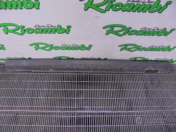 PARAURTI POSTERIORE CENTRALE DUCATO ANNO 2004