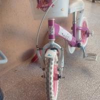 Bici bicicletta Paw Patrol con cestino e rotelle