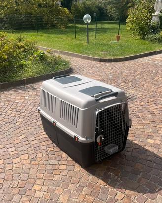 Kennel cane di 40kg