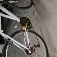 Mountain bike
