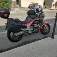Guzzi Breva 1100