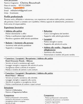 Disponibile per lavoro