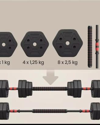Set di Manubri 30 kg