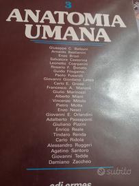 libri anatomia umana 