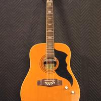 chitarra acustica vintage EKO RANGER 12 corde ampl