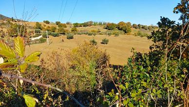 TERRENO AGRICOLO