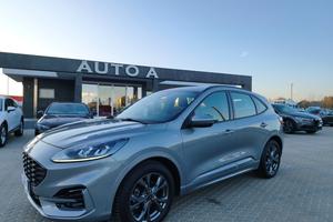 FORD Kuga 1.5 EcoBlue 120 CV aut. 2WD ST-Line