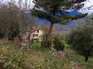 Casa all'interno di un uliveto