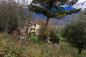 Casa all'interno di un uliveto