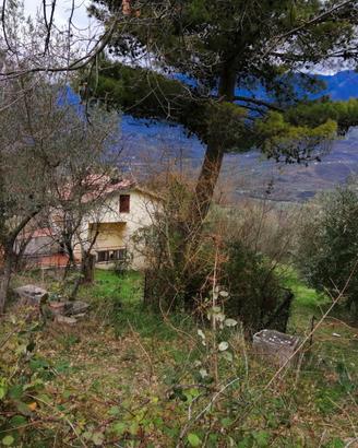 Casa all'interno di un uliveto
