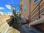 Immagine 11