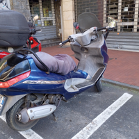 Unico proprietario
