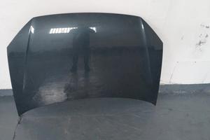 COFANO ANTERIORE VOLKSWAGEN POLO 2009