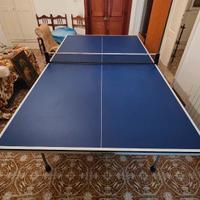 Tavolo da Ping Pong