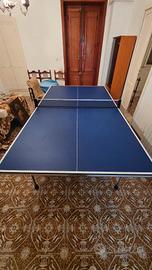 Tavolo da Ping Pong