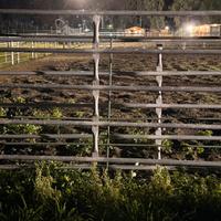 Vendita recinzioni per box/paddock animali