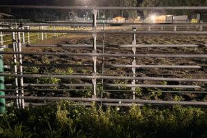 Vendita recinzioni per box/paddock animali