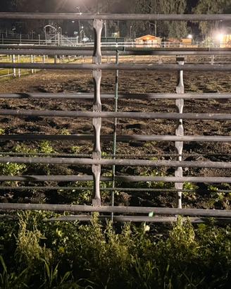 Vendita recinzioni per box/paddock animali