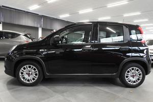 FIAT - Panda - 1.0 FireFly S&S Hybrid