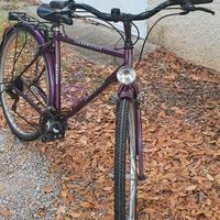 Bicicletta da città