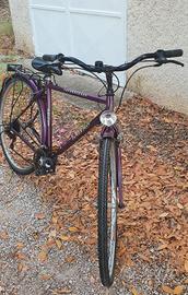 Bicicletta da città