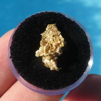 PEPITA d'ORO NATURALE CRISTALLIZZATA Nevada