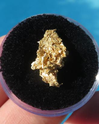PEPITA d'ORO NATURALE CRISTALLIZZATA Nevada