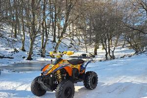 POLARIS SCRAMBLER 500 4X4