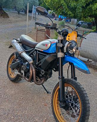 Ducati scrambler desert sled 