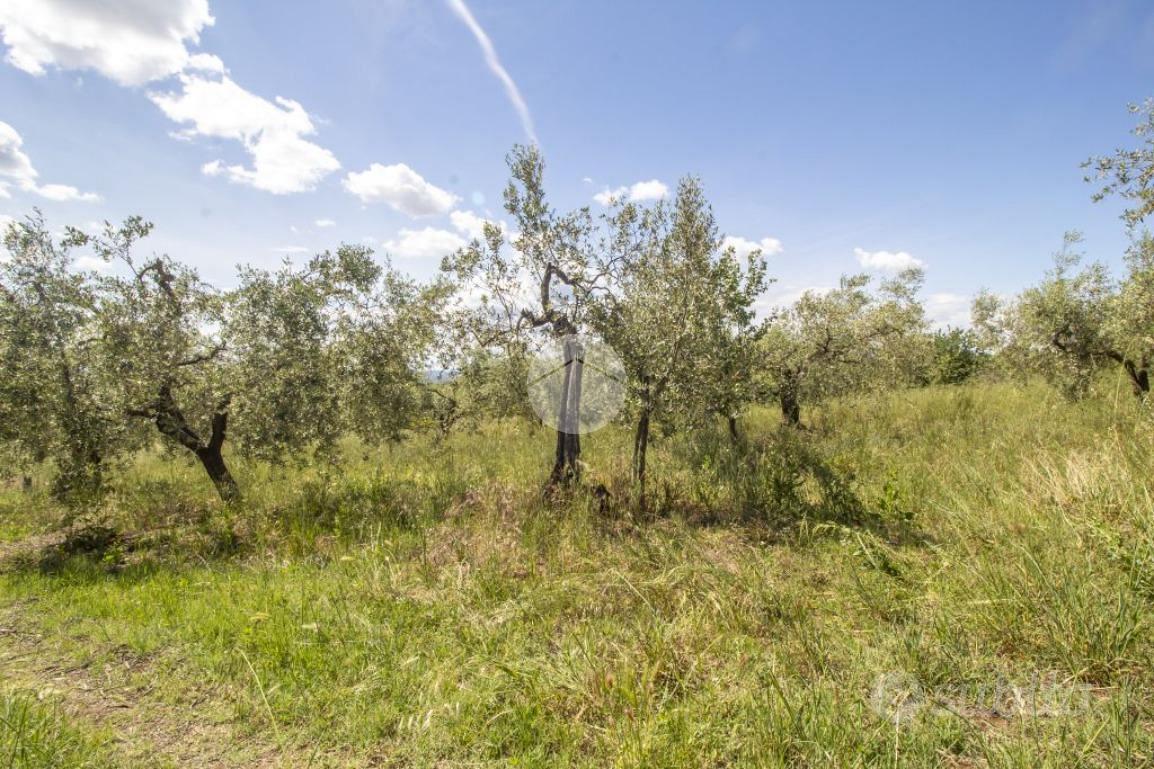 TER. AGRICOLO A MORICONE - Altro