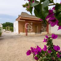 Rustico/Casale/Corte - Carovigno