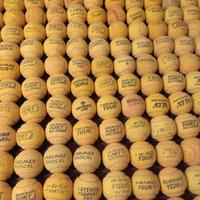 palline da tennis usate 