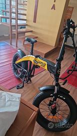 Bici elettrica