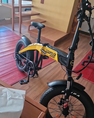 Bici elettrica