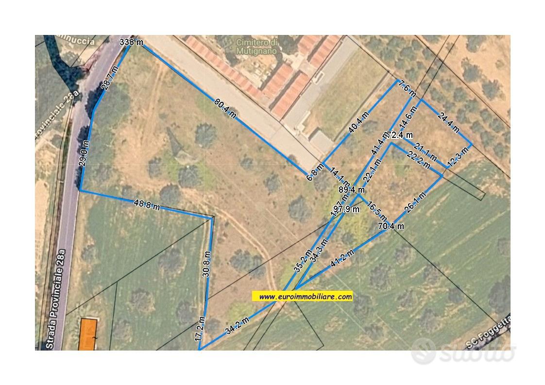 2 fabbricati vista mare e terreni oltre 3 ettari - Vista 3