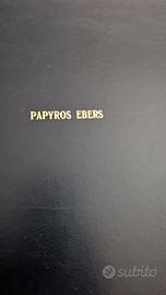 Traduzione in tedesco del 1987 del Papiro di Ebers