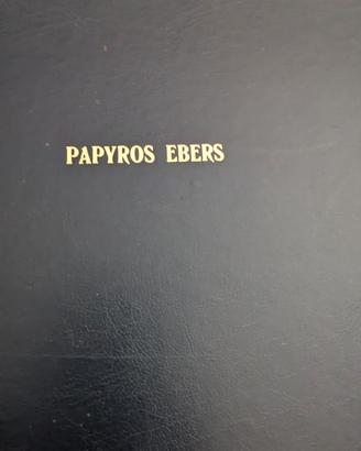 Traduzione in tedesco del 1987 del Papiro di Ebers