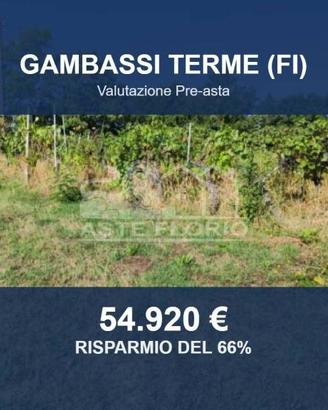 Immobile in asta di 46625 m² a Gambassi Terme