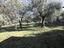 Immagine 19