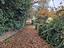 Immagine 22