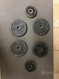 Pesi/attrezzatura palestra