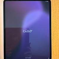 APPLE  Ipad Pro / 13 pollici /M4  /256 g./NUOVO