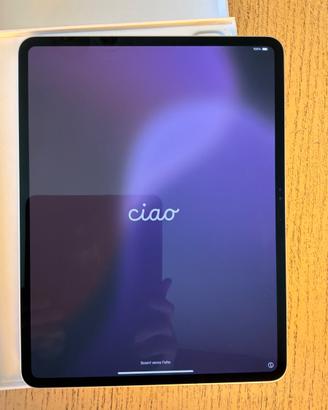 APPLE  Ipad Pro / 13  /M4  /256 g./nuovo