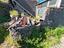 Immagine 7