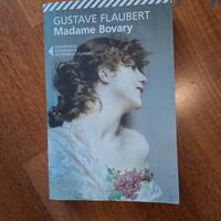 libro Madame Bovary